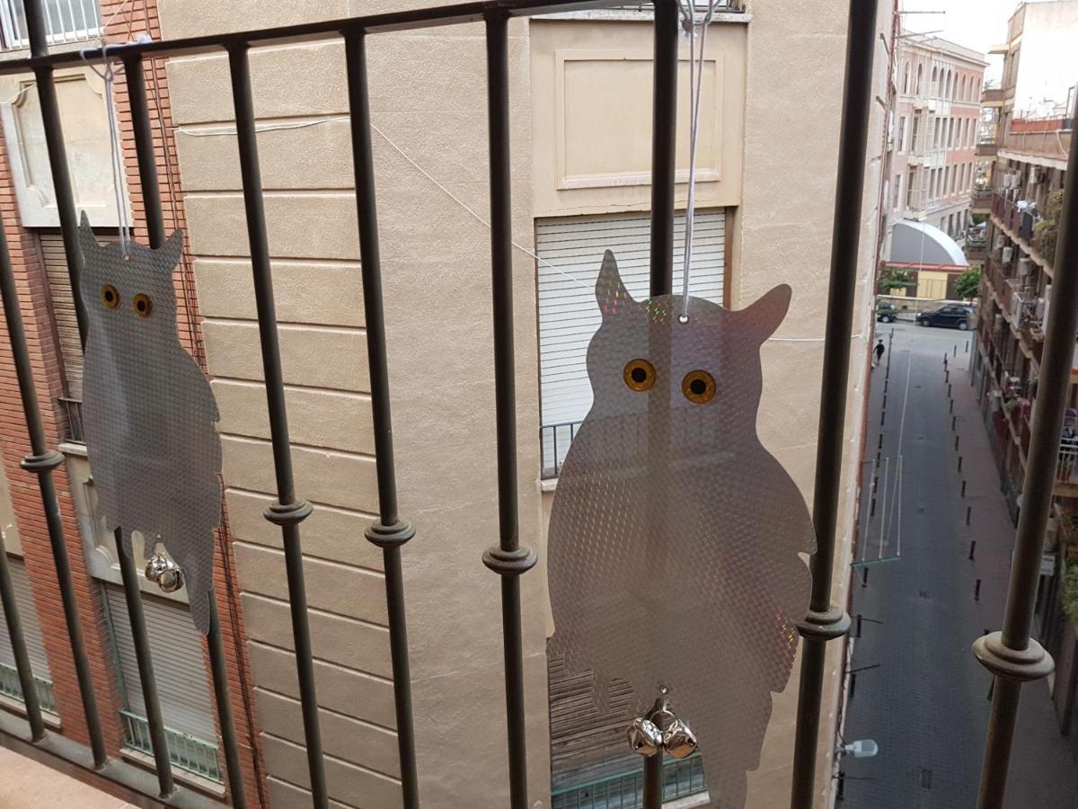 Apartamento Los Buhos 木尔西亚 外观 照片